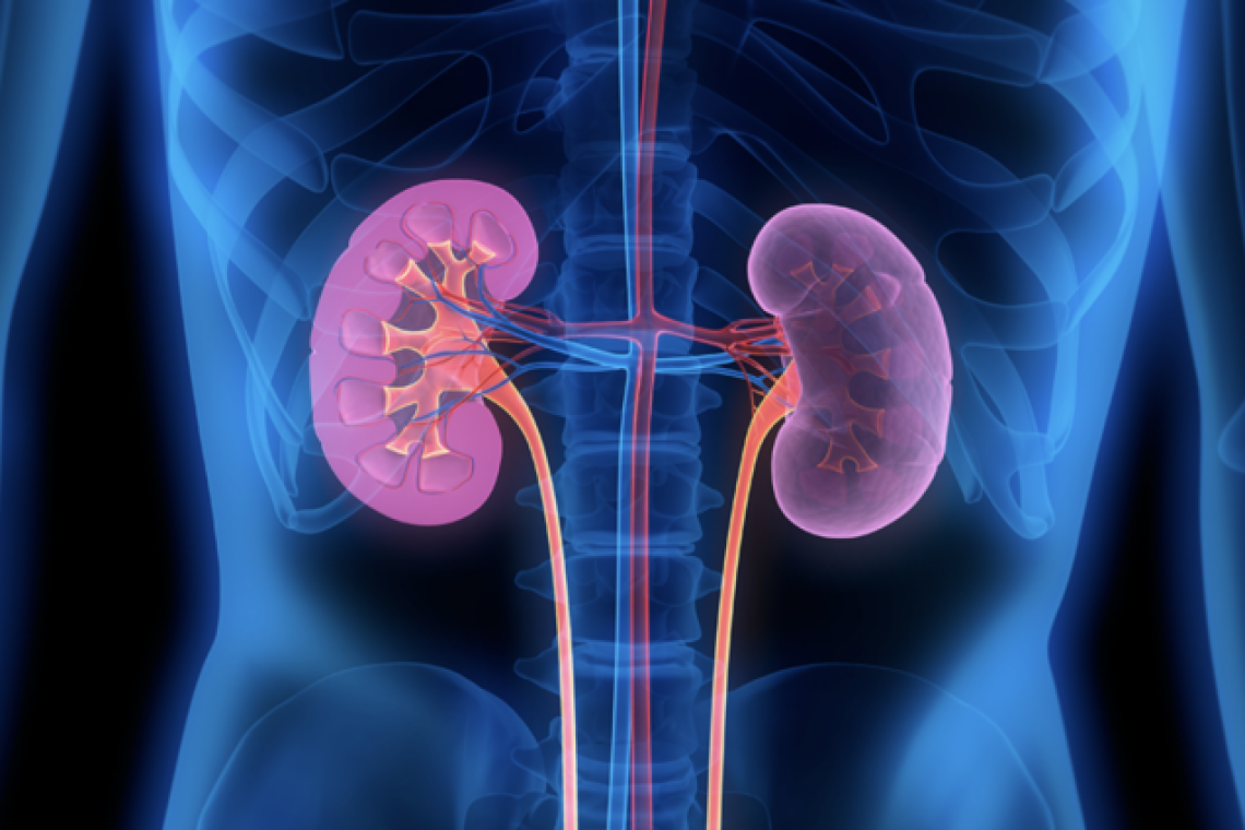 The Silent Epidemic: Experts Warn as 4 Million Ghanaians Battle Chronic Kidney Disease